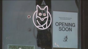 Foxtrot to reopen in Wicker Park