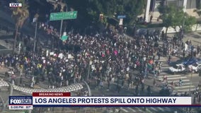 Los Angeles ICE protesters take over major highway