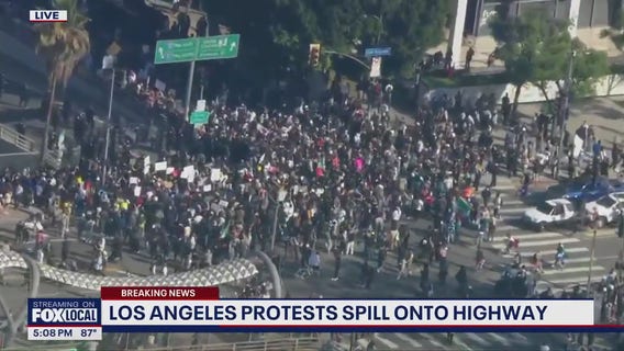 Los Angeles ICE protesters take over major highway