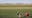Trump pledges protection for farmworkers as raids hit SoCal fields