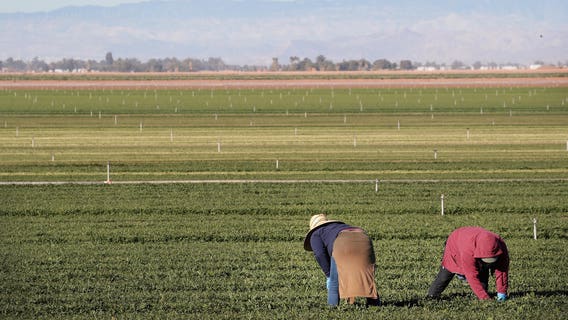 Trump pledges protection for farmworkers as raids hit SoCal fields