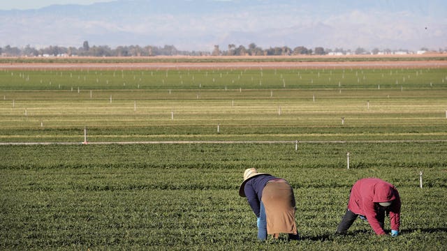 Trump pledges protection for farmworkers as raids hit SoCal fields