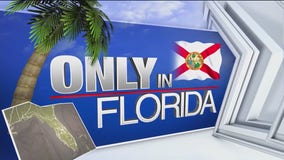 Aug. 1 edition of 'Only in Florida'