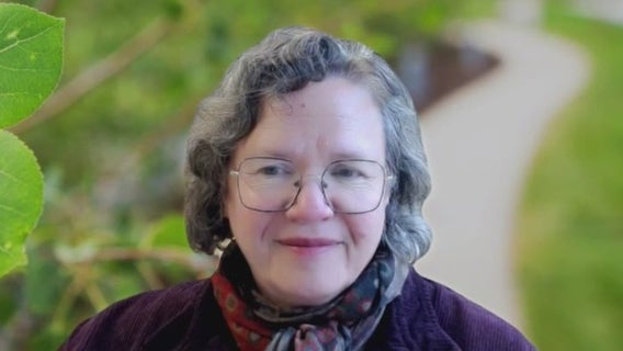 Restoring Chicago’s historic Sears Sunken Garden