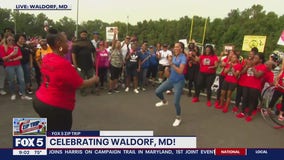 Zip Trip to Waldorf: Welcome back to Waldorf!