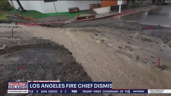 Florida man arrested for allegedly sexually abusing multiple children, deputies search for additional victims