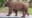 Bear cozies up under Sierra Madre home