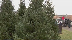 7th Annual Good Shepherd Christmas Tree Market