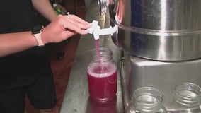 AZ Lemonade Stand celebrates National Lemonade Day