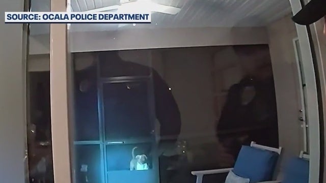 Ocala officers justified, disciplined after shooting, killing 3 aggressive dogs, Chief says