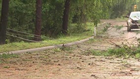 Beryl blows down power lines, trees in Atascocita