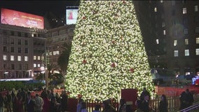 San Francisco's tree in Union Square lit for holiday season