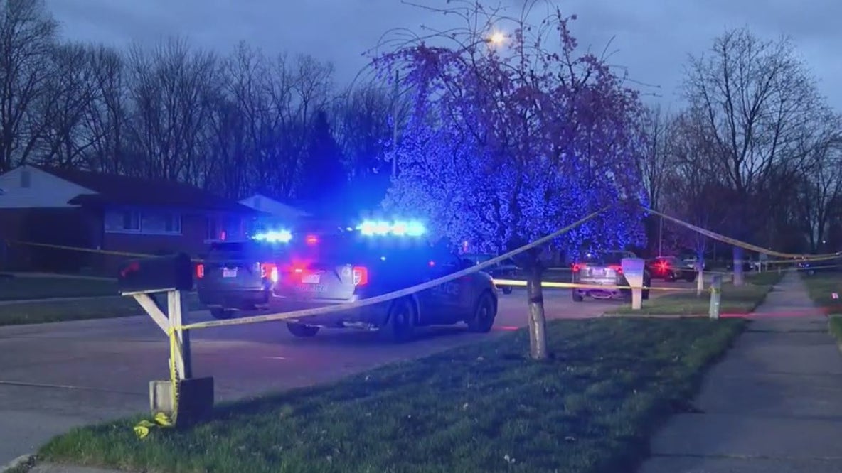 Deadly domestic violence cases hit Metro Detroit
