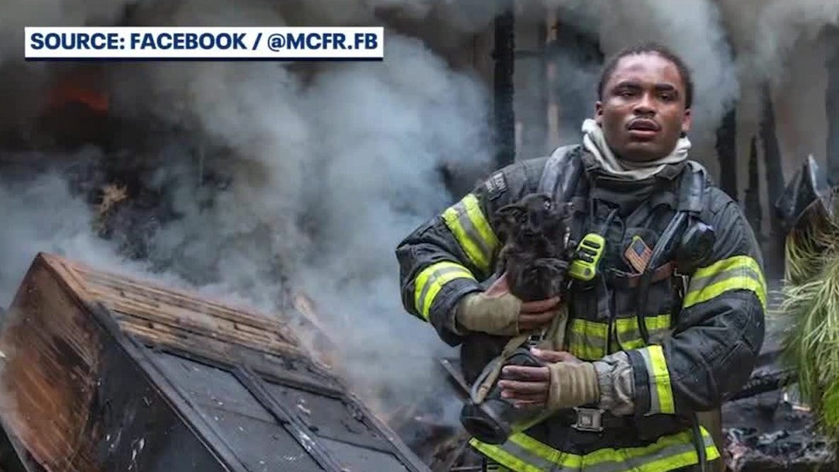 Firefighters rescue 12 dogs from house fire