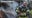 Firefighters rescue 12 dogs from house fire