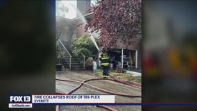 Everett WA triplex fire causes pet deaths, roof collapse