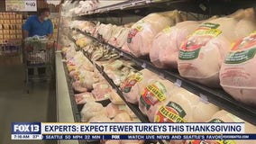 Fewer turkeys for Thanksgiving 2024, here's why