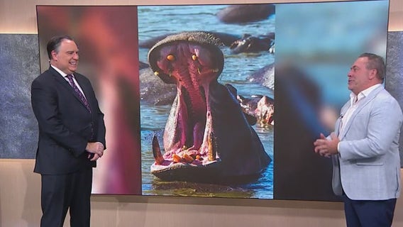 National Geographic photographer shares stories from three decades of capturing Earth’s beauty