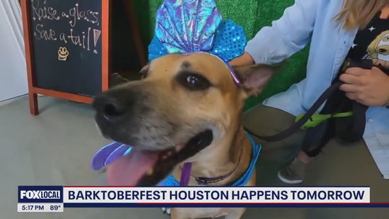 Houston Pets Alive Barktoberfest Saturday, dress up your pets and save lives at the same time
