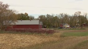 Teen dies at Horror Haunted Hayride in Stearns Co.