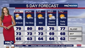 Turning partly cloudy and mild for the next few days