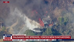 Palisades fire spreads into Brentwood Neighborhood