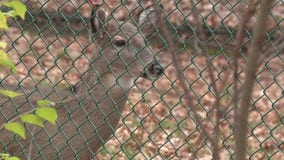 Howell Nature Center falls on hard times, receives help from the community