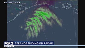 Unexplained radar anomalies over Gulf of Mexico spark alien theories