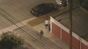 Police chase suspect tries to hide in bushes