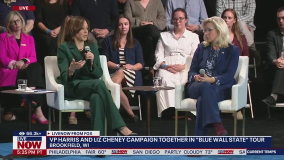 Liz Cheney predicts 'millions of Republicans' will vote for Harris: ‘Vote your conscience’