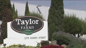 Taylor Farms says products safe amid McDonald’s E. coli outbreak