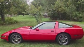 A pair of Corvettes