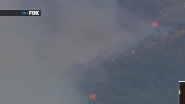 Burbank brush fire now under control