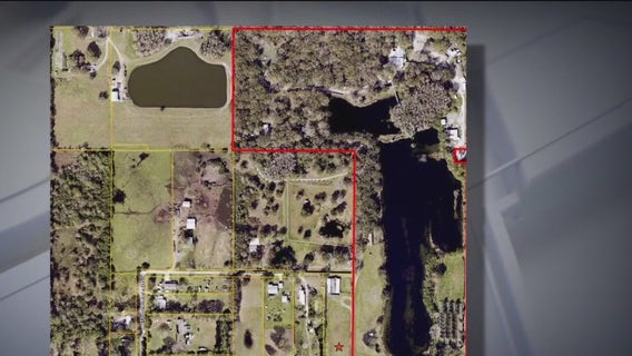 Big Cat Rescue sells large portion of Hillsborough property for $19.5M