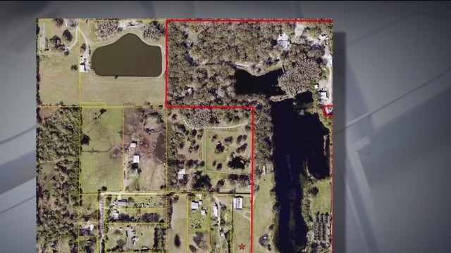 Big Cat Rescue sells large portion of Hillsborough property for $19.5M