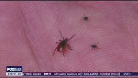 Lyme disease uptick raises concerns of medical professionals