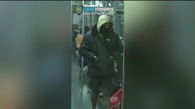 Suspect charged in Brooklyn slashing spree
