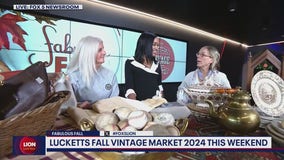 Lucketts Fall Vintage Market 2024 this weekend