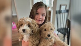 Houston-area family fears 9-year-old's emotional support dog may have been stolen