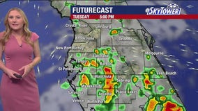 Tampa Weather | Humidity, showers possible