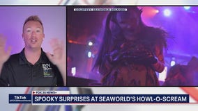 Scary surprises at SeaWorld's Howl-O-Scream