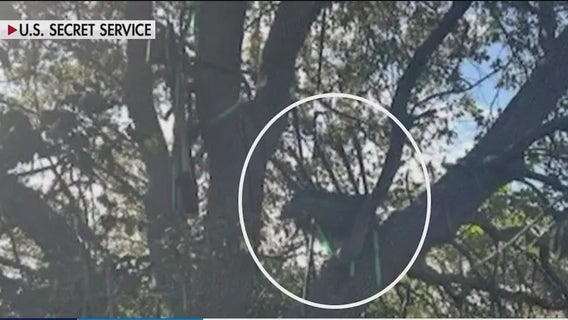 'Suspicious' hunting stand found near Air Force One landing zone