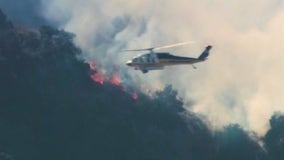 Hacienda Heights brush fire burns 5 acres