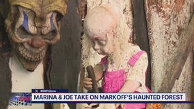 Markoff's Haunted Forest