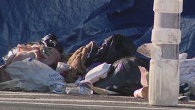 LA homeless encampment blocking bike lanes