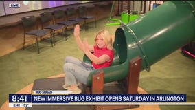 'A Bug's Life' experience: River Legacy Bug Squad