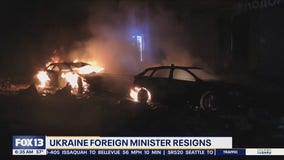 Ukraine foreign minister resigns