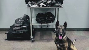 K-9 deputy in northern Arizona makes drug bust