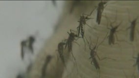 NYC Health Department to spray for West Nile virus