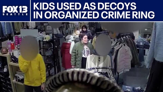 The Spotlight: Using kids as accomplices in organized theft rings